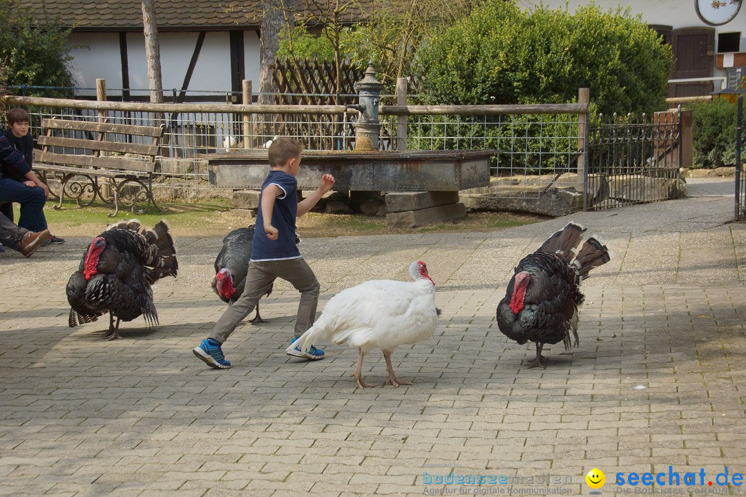 Lochmuehle-Eigeltingen-06-04-2014-Bodensee-Community-SEECHAT_DE-0003.JPG