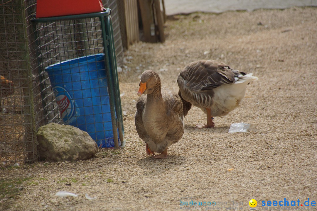 Lochmuehle-Eigeltingen-06-04-2014-Bodensee-Community-SEECHAT_DE-0007.JPG