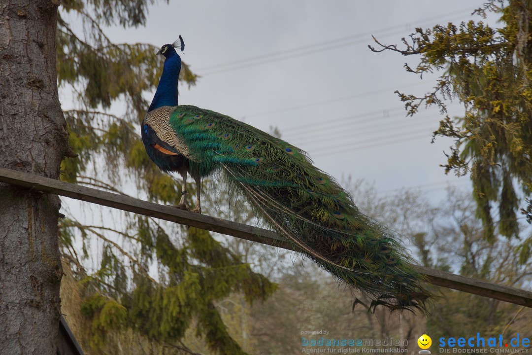 Lochmuehle-Eigeltingen-06-04-2014-Bodensee-Community-SEECHAT_DE-0012.JPG