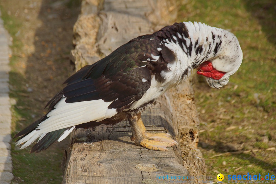 Lochmuehle-Eigeltingen-06-04-2014-Bodensee-Community-SEECHAT_DE-0026.JPG