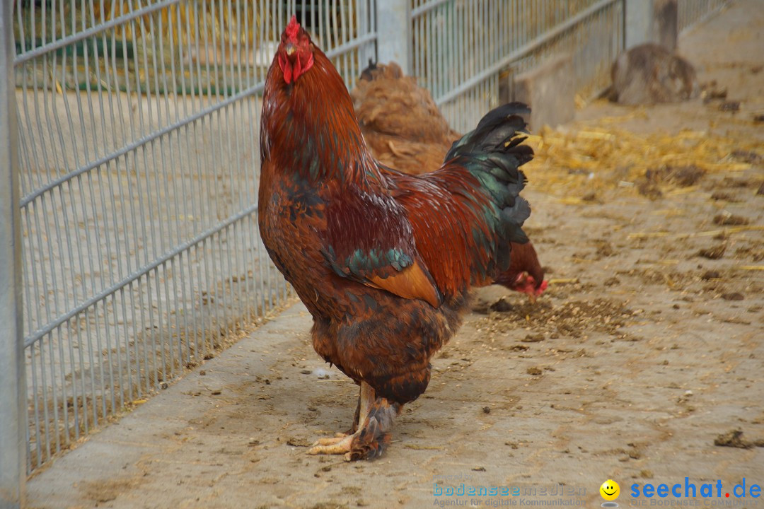 Lochmuehle-Eigeltingen-06-04-2014-Bodensee-Community-SEECHAT_DE-0050.JPG