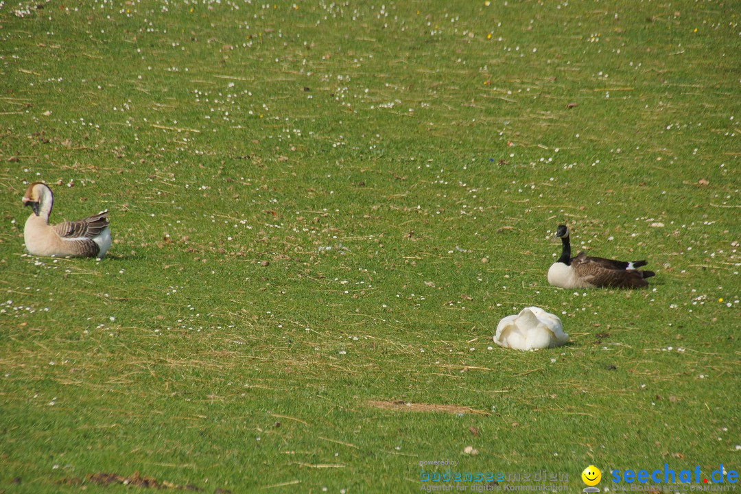 Lochmuehle-Eigeltingen-06-04-2014-Bodensee-Community-SEECHAT_DE-0098.JPG