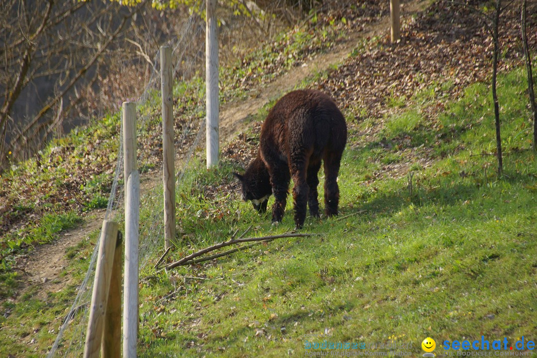 Lochmuehle-Eigeltingen-06-04-2014-Bodensee-Community-SEECHAT_DE-0117.JPG