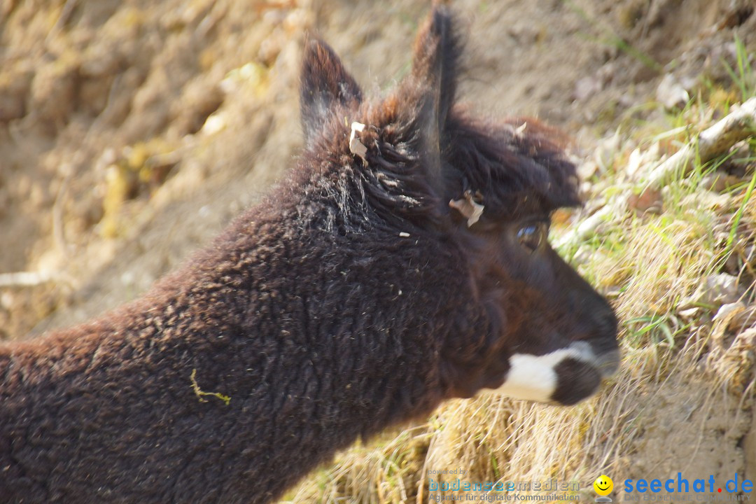 Lochmuehle-Eigeltingen-06-04-2014-Bodensee-Community-SEECHAT_DE-0119.JPG