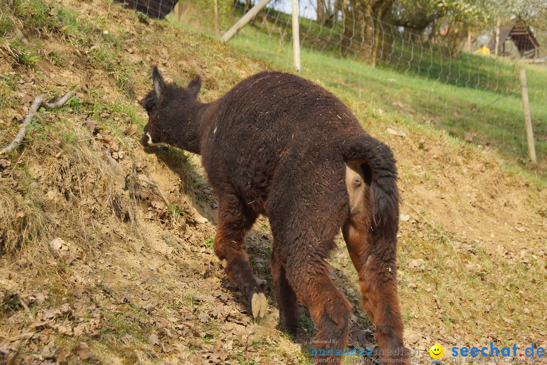 Lochmuehle-Eigeltingen-06-04-2014-Bodensee-Community-SEECHAT_DE-0120.JPG