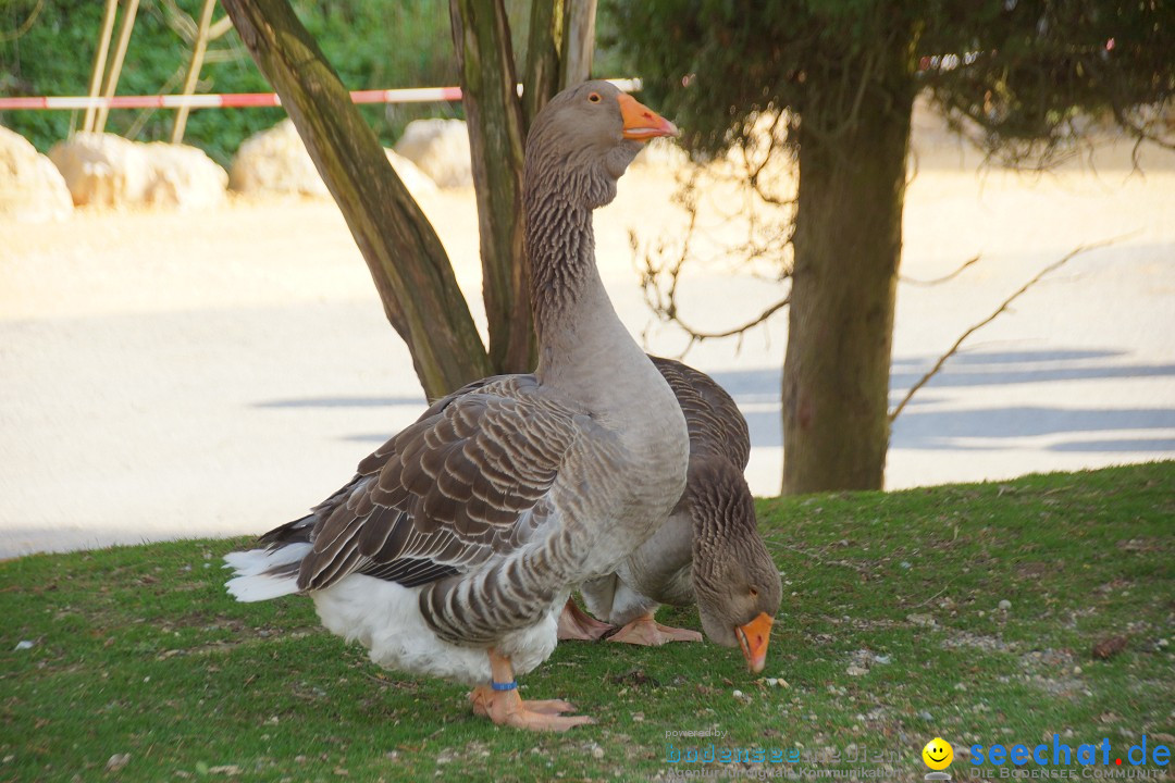 Lochmuehle-Eigeltingen-06-04-2014-Bodensee-Community-SEECHAT_DE-0142.JPG