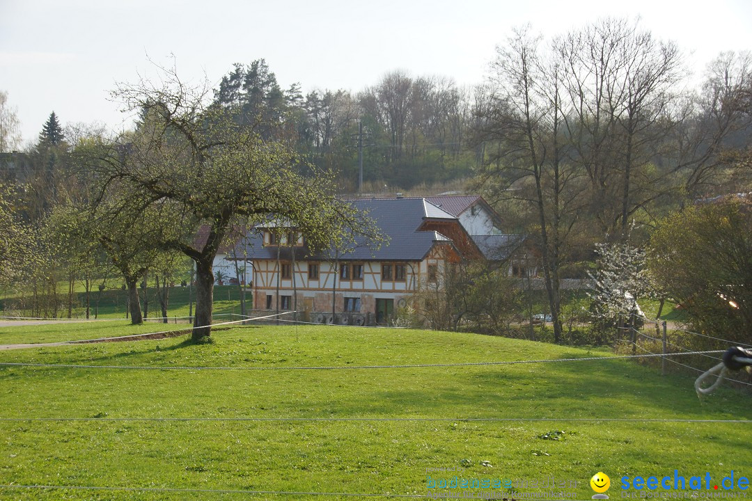 Lochmuehle-Eigeltingen-06-04-2014-Bodensee-Community-SEECHAT_DE-0144.JPG