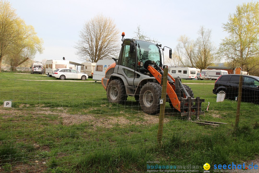 Naturschutzgebiet: Bodman - Ludwigshafen am Bodensee, 07.04.2014