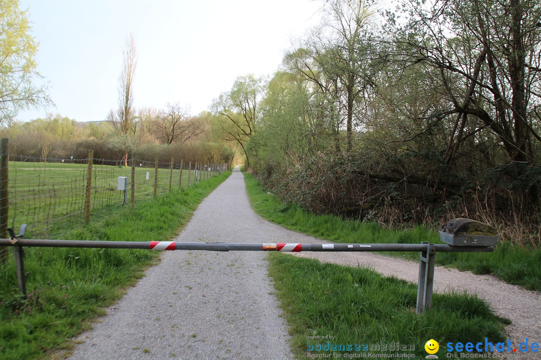 Naturschutzgebiet: Bodman - Ludwigshafen am Bodensee, 07.04.2014