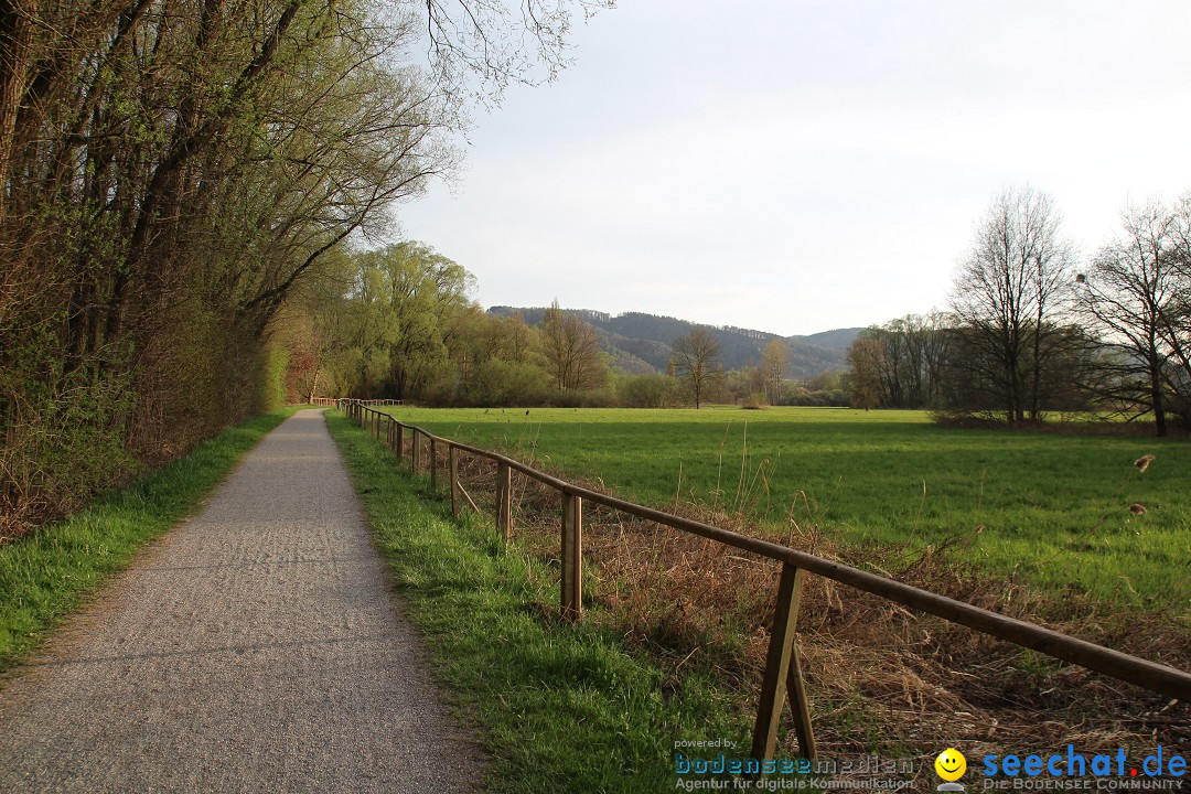 Naturschutzgebiet: Bodman - Ludwigshafen am Bodensee, 07.04.2014