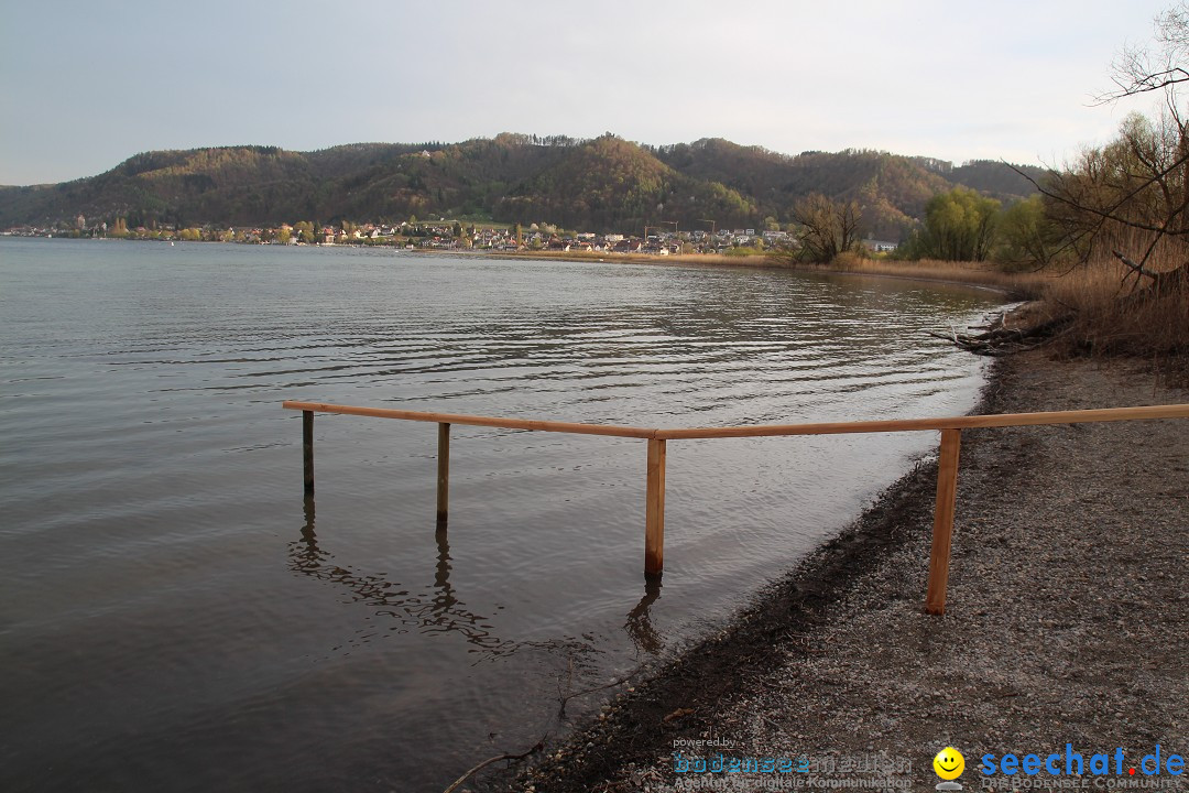 Naturschutzgebiet: Bodman - Ludwigshafen am Bodensee, 07.04.2014