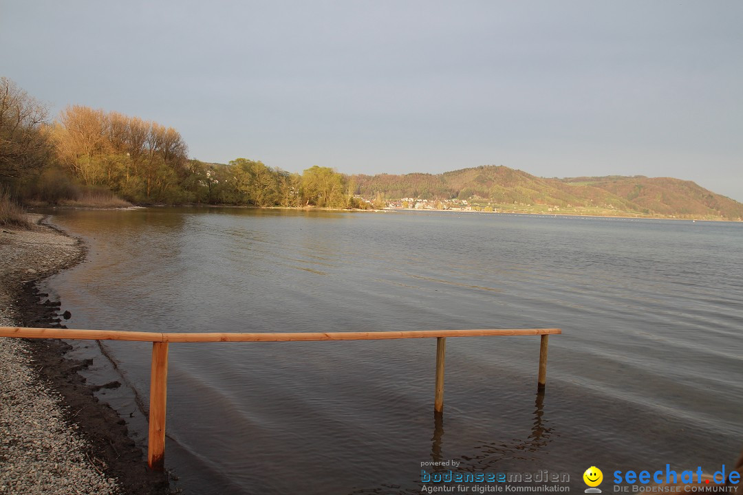 Naturschutzgebiet: Bodman - Ludwigshafen am Bodensee, 07.04.2014