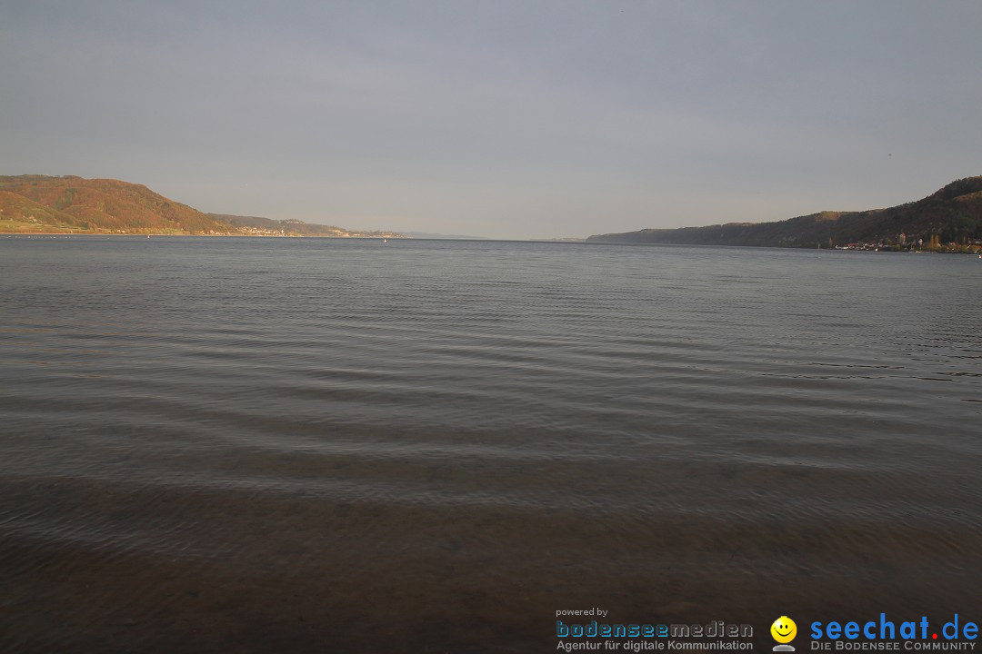 Naturschutzgebiet: Bodman - Ludwigshafen am Bodensee, 07.04.2014