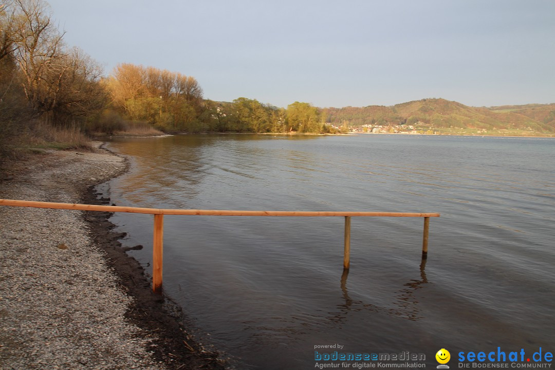 Naturschutzgebiet: Bodman - Ludwigshafen am Bodensee, 07.04.2014