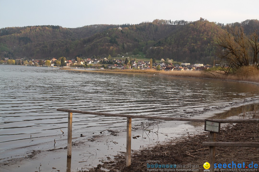 Naturschutzgebiet: Bodman - Ludwigshafen am Bodensee, 07.04.2014