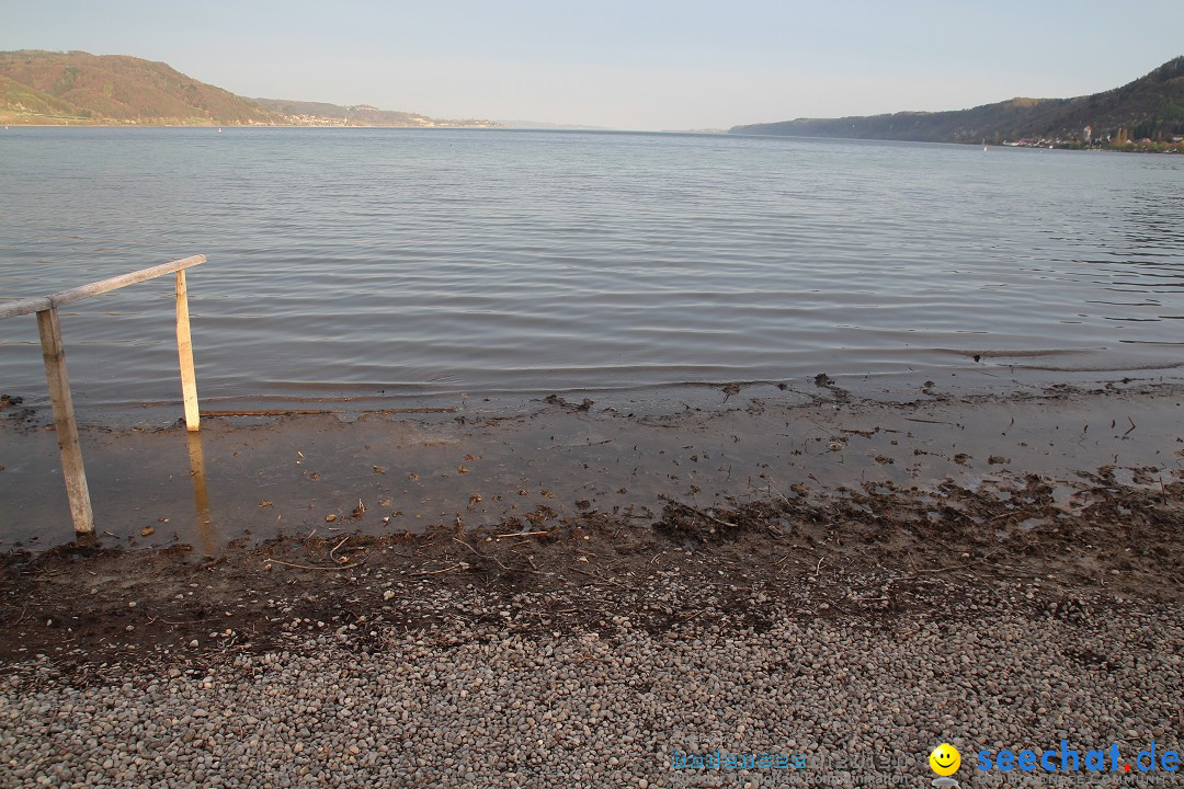 Naturschutzgebiet: Bodman - Ludwigshafen am Bodensee, 07.04.2014