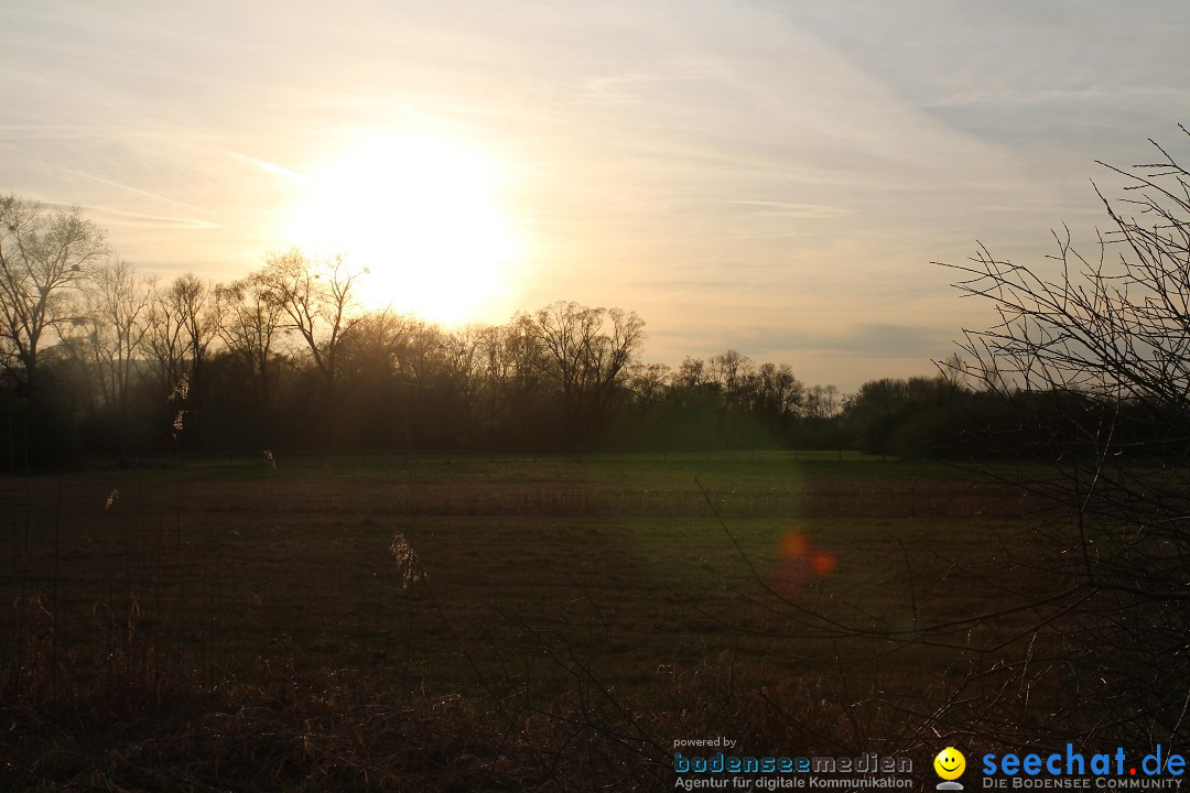 Naturschutzgebiet: Bodman - Ludwigshafen am Bodensee, 07.04.2014