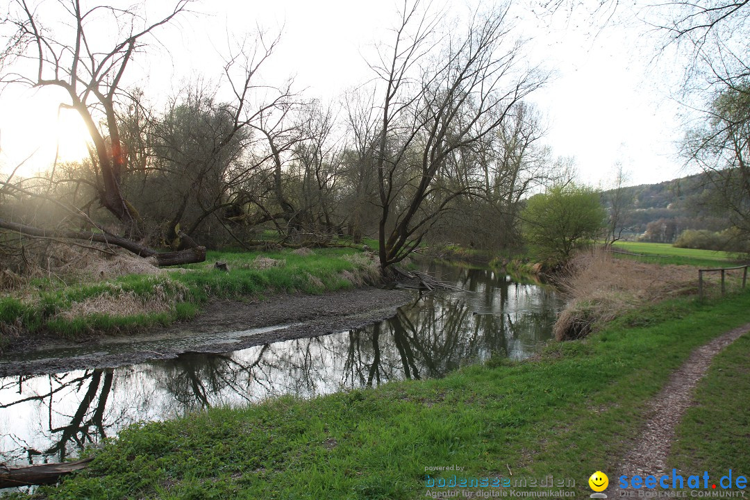 Naturschutzgebiet: Bodman - Ludwigshafen am Bodensee, 07.04.2014