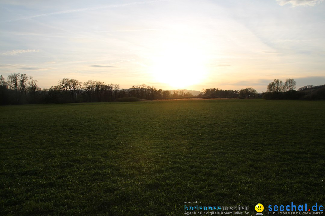 Naturschutzgebiet: Bodman - Ludwigshafen am Bodensee, 07.04.2014