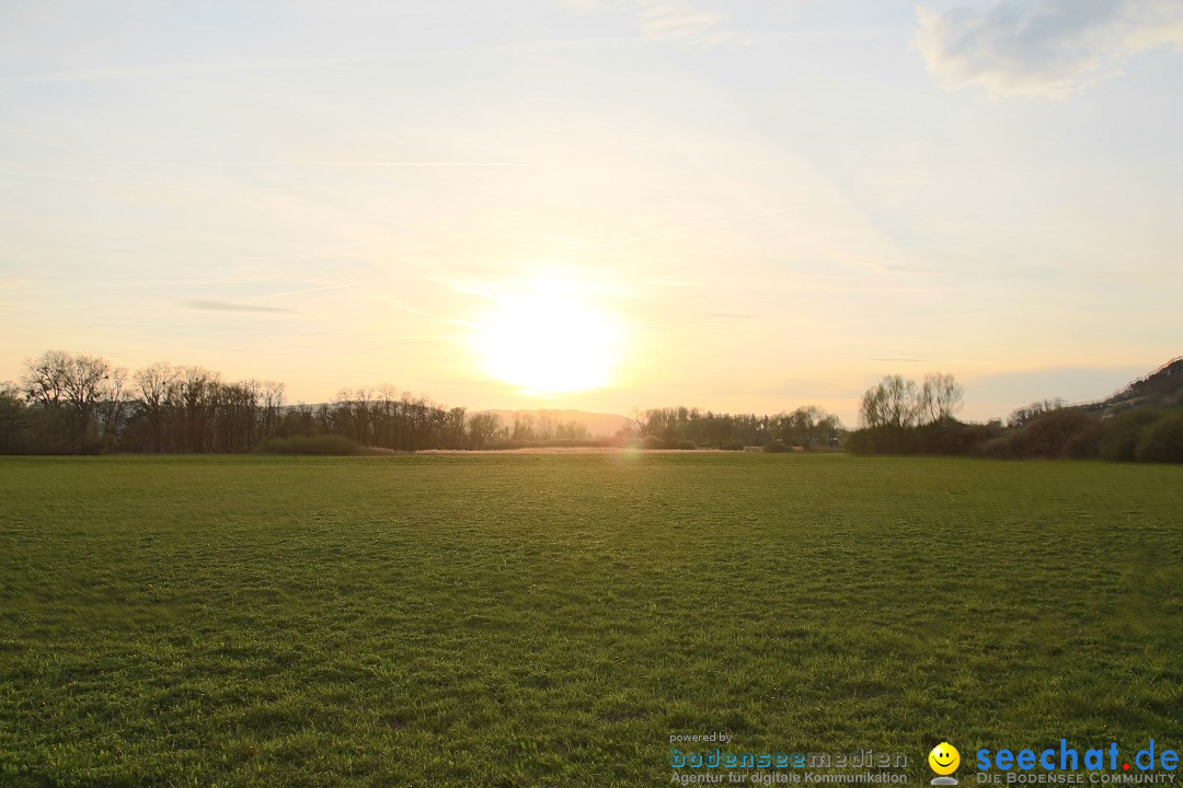 Naturschutzgebiet: Bodman - Ludwigshafen am Bodensee, 07.04.2014