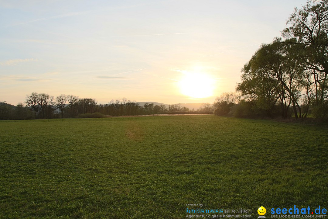 Naturschutzgebiet: Bodman - Ludwigshafen am Bodensee, 07.04.2014