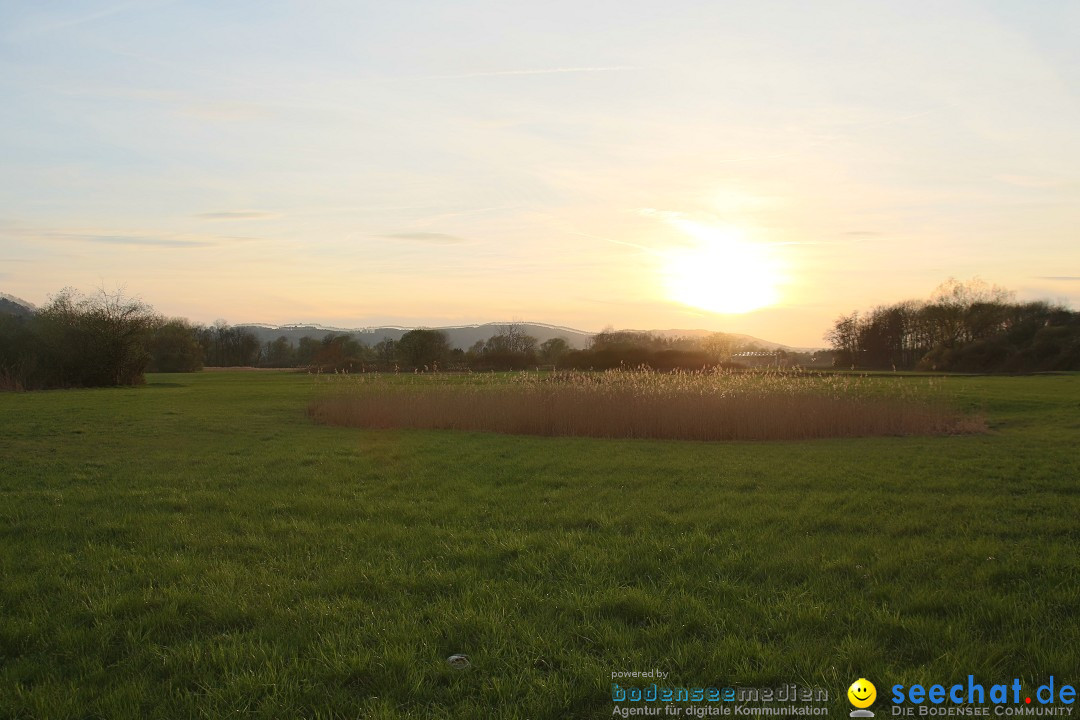 Naturschutzgebiet: Bodman - Ludwigshafen am Bodensee, 07.04.2014