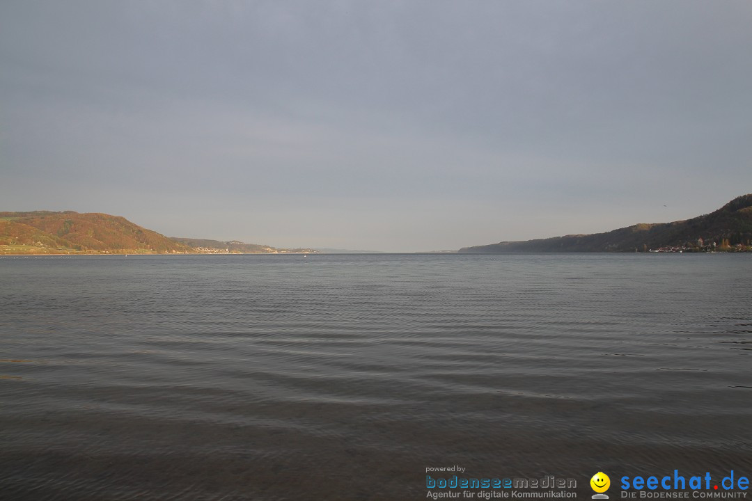 Naturschutzgebiet: Bodman - Ludwigshafen am Bodensee, 07.04.2014