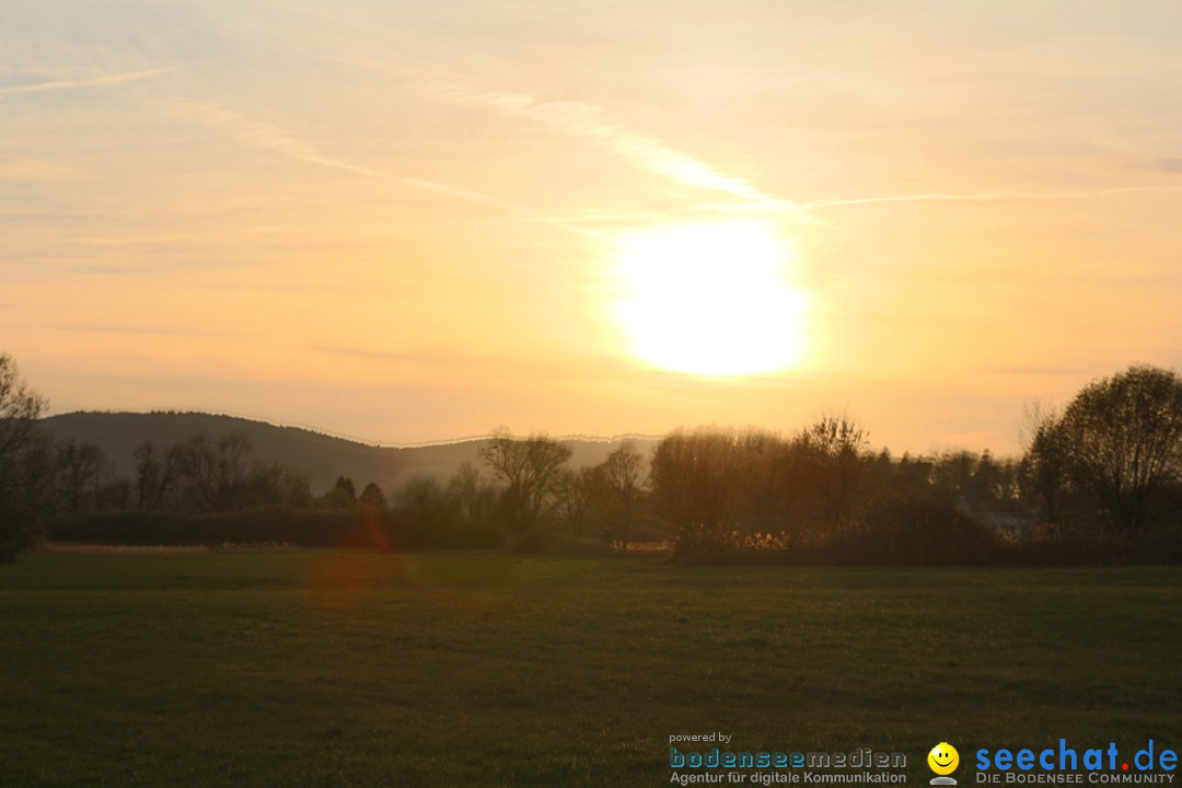 Naturschutzgebiet: Bodman - Ludwigshafen am Bodensee, 07.04.2014