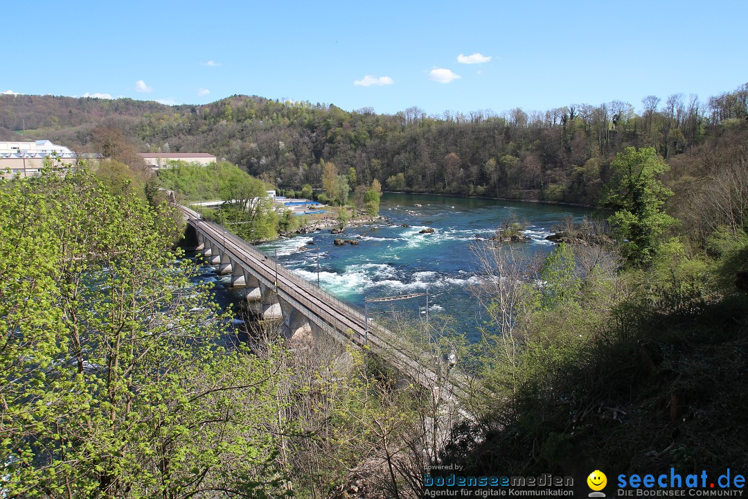 Rheinfall: Neuhausen - Schweiz: Schaffhausen am Bodensee, 09.04.2014