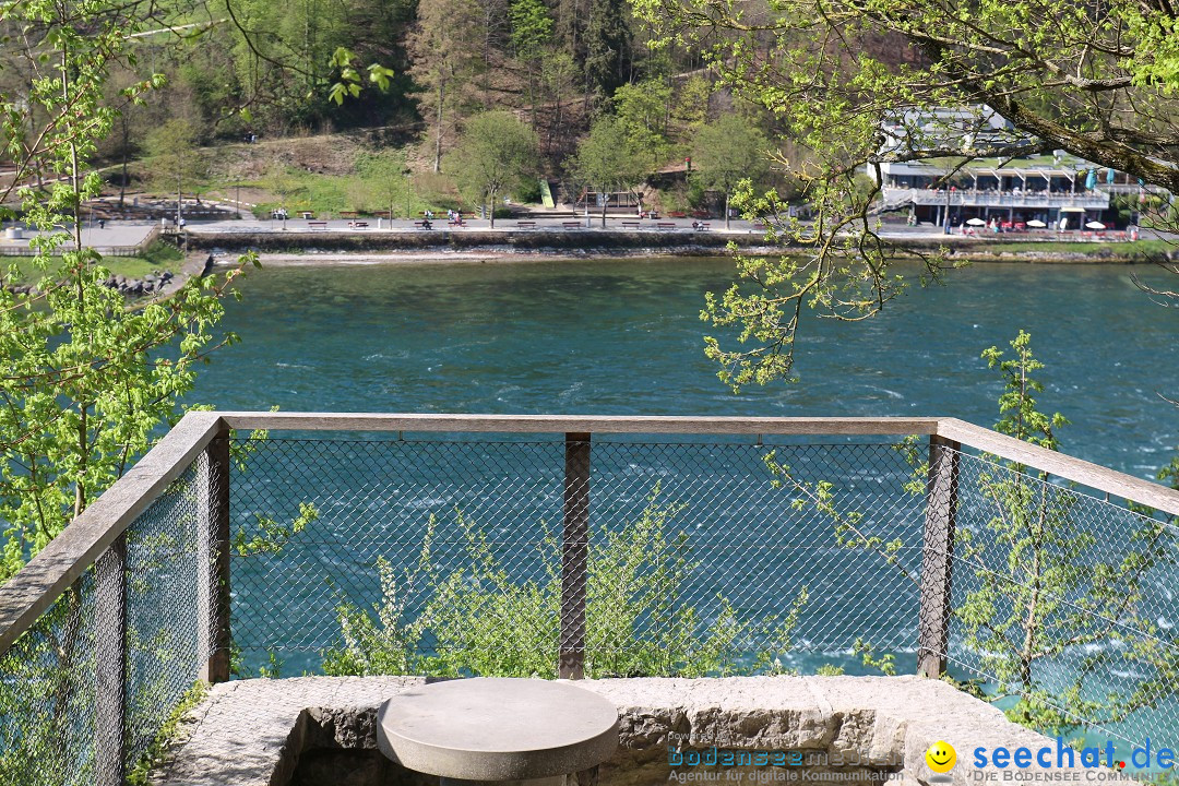 Rheinfall: Neuhausen - Schweiz: Schaffhausen am Bodensee, 09.04.2014