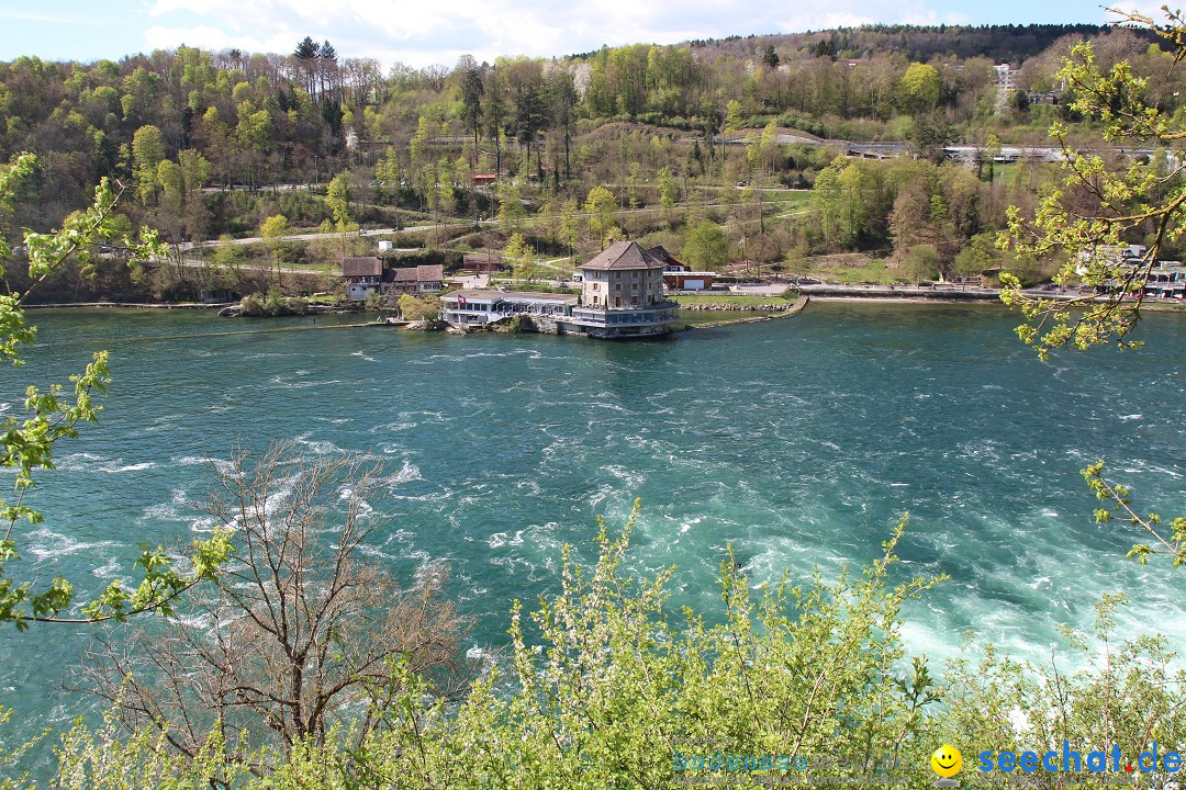 Rheinfall: Neuhausen - Schweiz: Schaffhausen am Bodensee, 09.04.2014