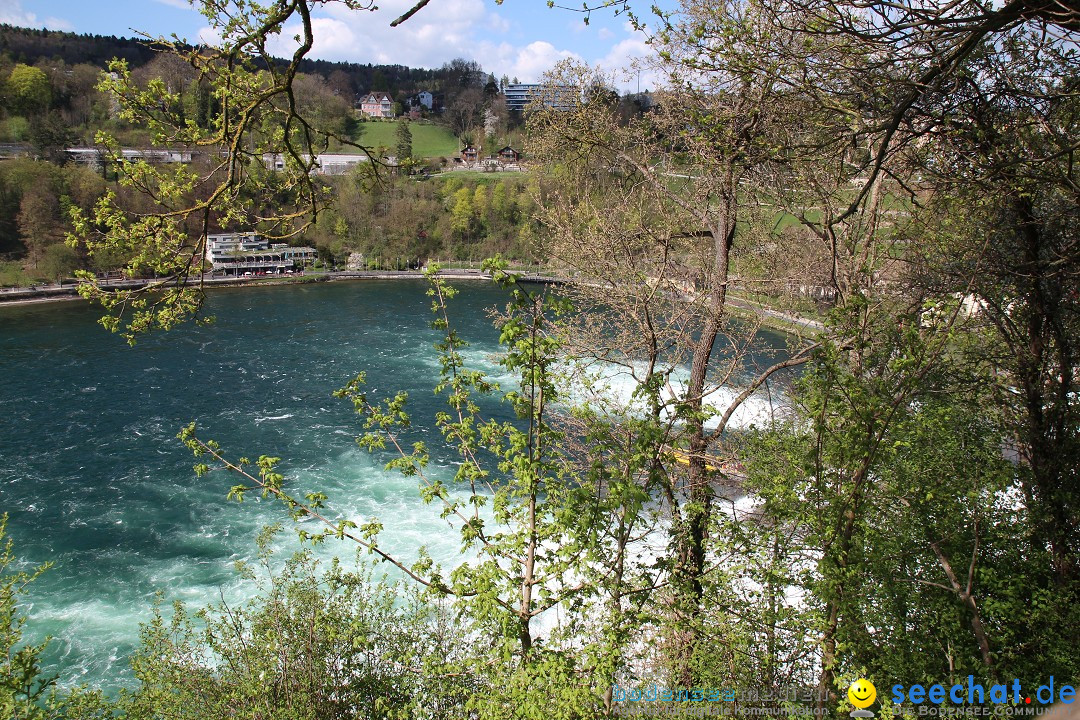 Rheinfall: Neuhausen - Schweiz: Schaffhausen am Bodensee, 09.04.2014