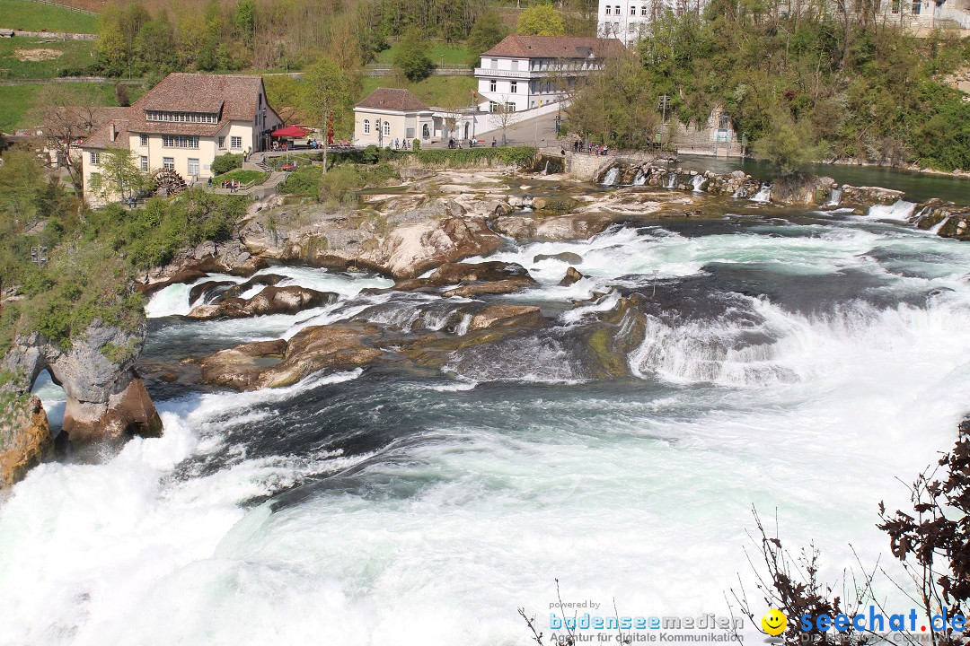 Rheinfall: Neuhausen - Schweiz: Schaffhausen am Bodensee, 09.04.2014