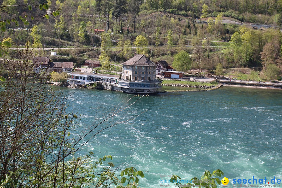 Rheinfall: Neuhausen - Schweiz: Schaffhausen am Bodensee, 09.04.2014