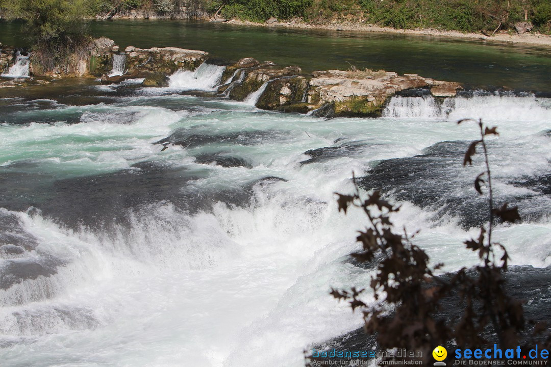 Rheinfall: Neuhausen - Schweiz: Schaffhausen am Bodensee, 09.04.2014