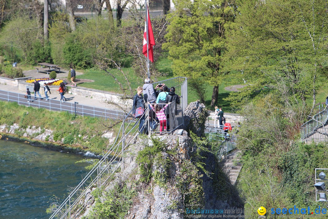 Rheinfall: Neuhausen - Schweiz: Schaffhausen am Bodensee, 09.04.2014