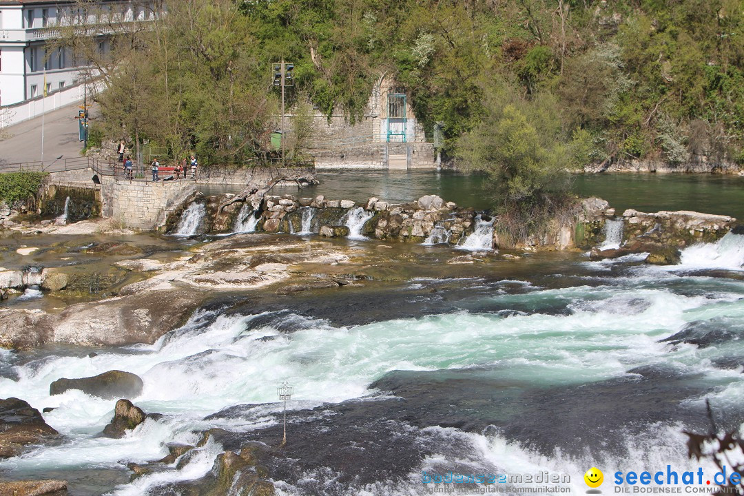 Rheinfall: Neuhausen - Schweiz: Schaffhausen am Bodensee, 09.04.2014