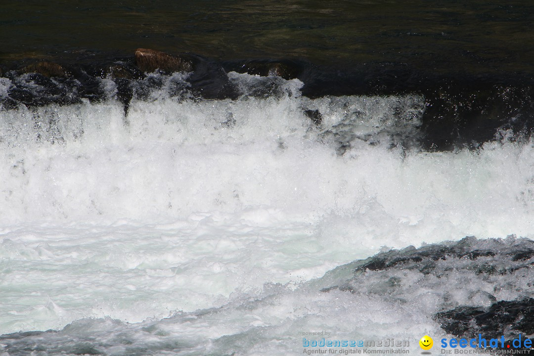 Rheinfall: Neuhausen - Schweiz: Schaffhausen am Bodensee, 09.04.2014