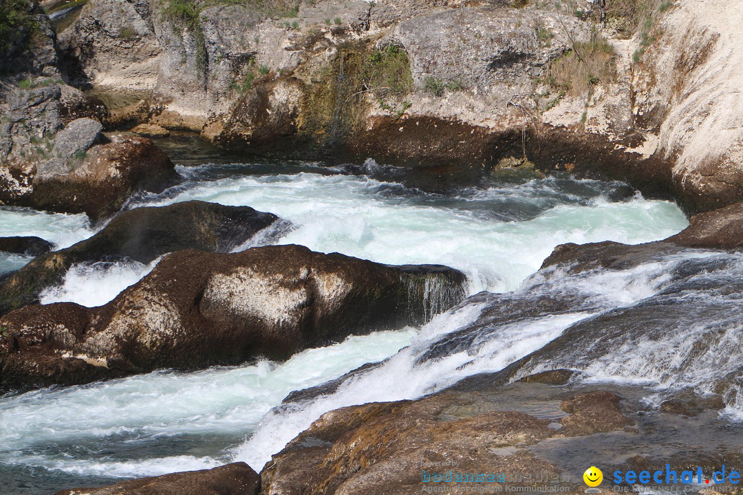 Rheinfall: Neuhausen - Schweiz: Schaffhausen am Bodensee, 09.04.2014