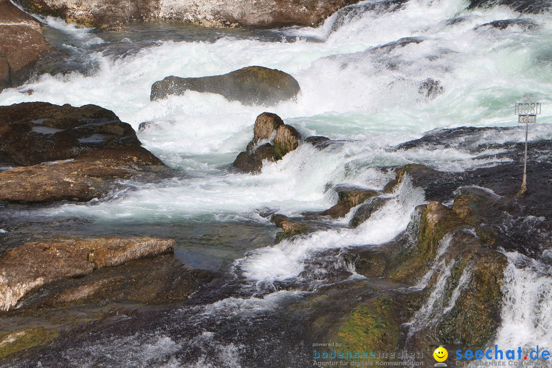 Rheinfall: Neuhausen - Schweiz: Schaffhausen am Bodensee, 09.04.2014