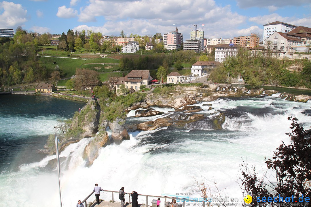 Rheinfall: Neuhausen - Schweiz: Schaffhausen am Bodensee, 09.04.2014