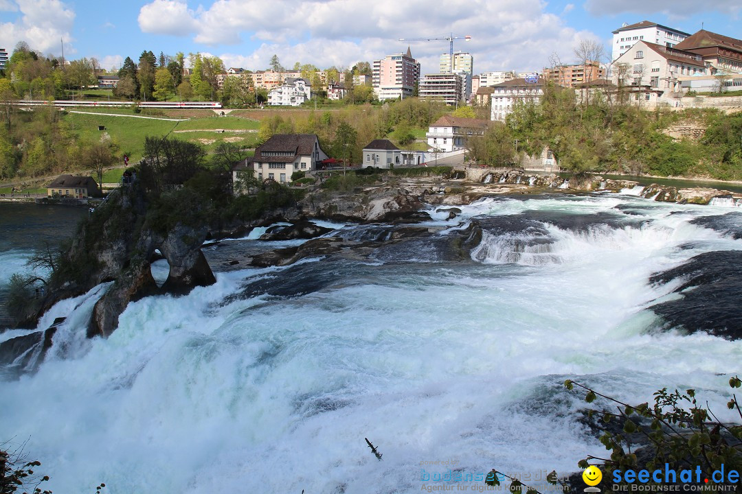 Rheinfall: Neuhausen - Schweiz: Schaffhausen am Bodensee, 09.04.2014