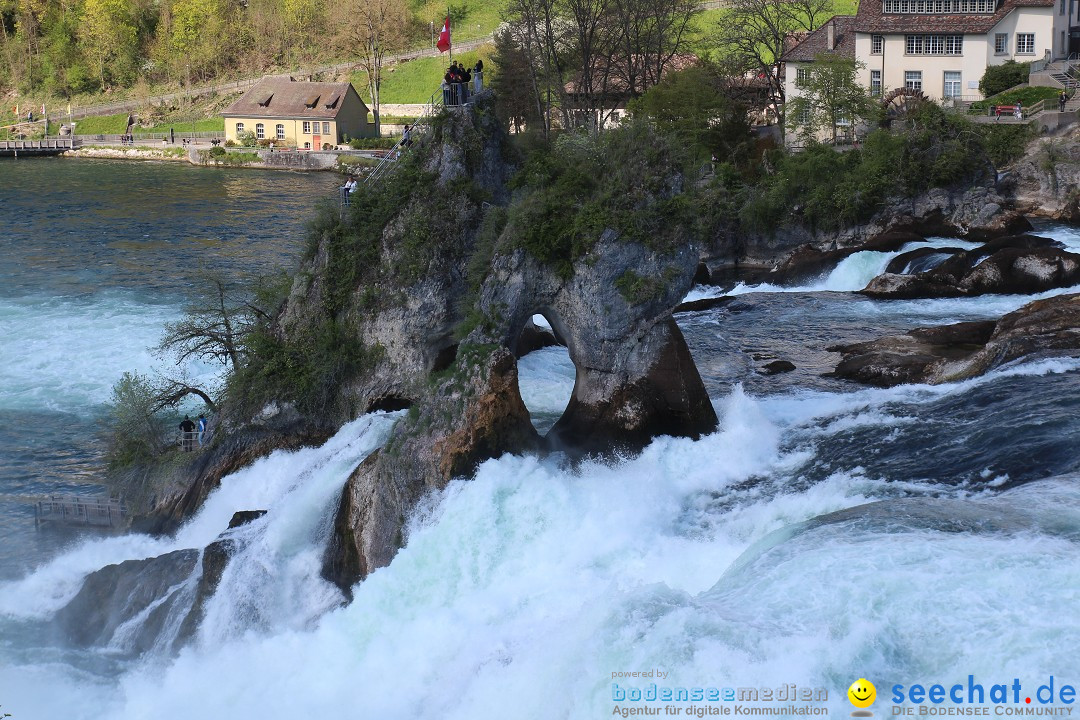 Rheinfall: Neuhausen - Schweiz: Schaffhausen am Bodensee, 09.04.2014