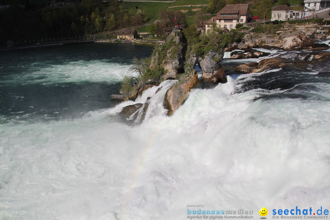 Rheinfall: Neuhausen - Schweiz: Schaffhausen am Bodensee, 09.04.2014