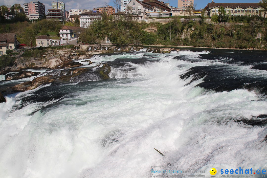 Rheinfall: Neuhausen - Schweiz: Schaffhausen am Bodensee, 09.04.2014