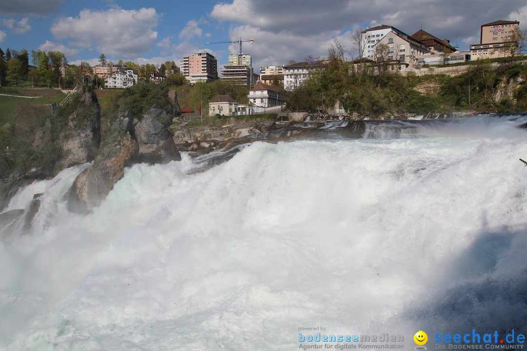 Rheinfall: Neuhausen - Schweiz: Schaffhausen am Bodensee, 09.04.2014