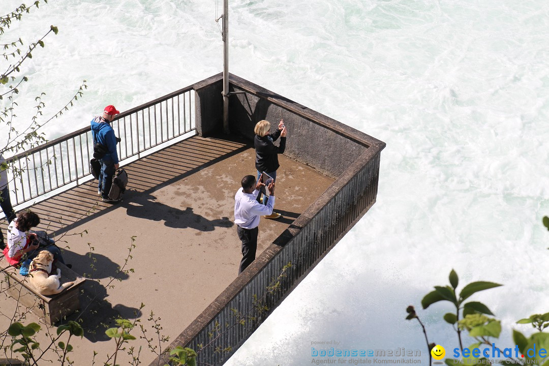 Rheinfall: Neuhausen - Schweiz: Schaffhausen am Bodensee, 09.04.2014