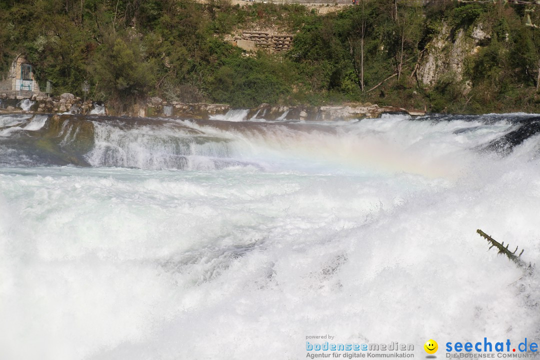 Rheinfall: Neuhausen - Schweiz: Schaffhausen am Bodensee, 09.04.2014