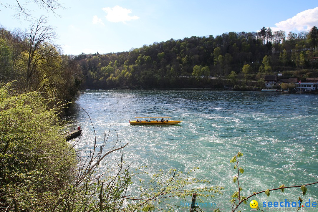 Rheinfall: Neuhausen - Schweiz: Schaffhausen am Bodensee, 09.04.2014