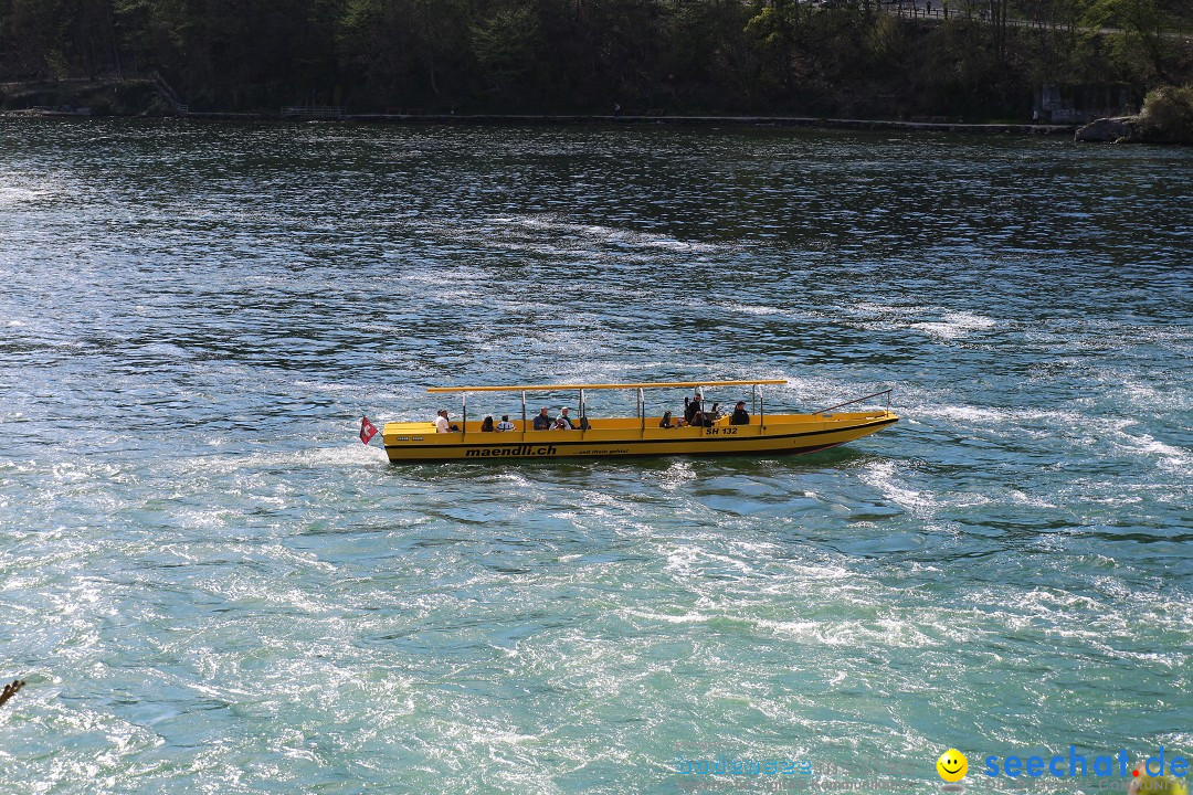 Rheinfall: Neuhausen - Schweiz: Schaffhausen am Bodensee, 09.04.2014